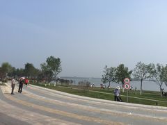 -武清南湖绿博园