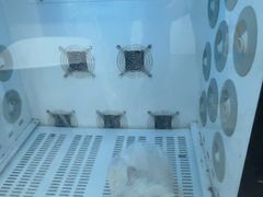 -瑞鹏宠物医院·超声·骨科·奇麟分院(蜀都万达店)