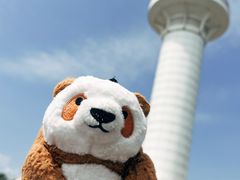 -日照灯塔风景区