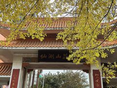 -深圳仙湖植物园