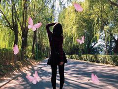 -长白岛森林公园