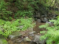 -天女山森林公园