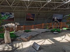 -中国第四纪冰川遗迹陈列馆