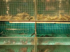 -李久其家民间餐厅(观沙岭公园店)