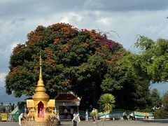 -西双版纳勐泐文化旅游区