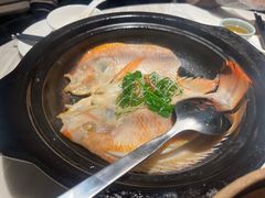 -陶陶居酒家(新天地店)