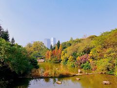 -云溪植物园