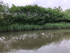 -新江湾城公园