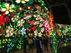 -欢乐海岸椰林沙滩-2025湾区超级灯会