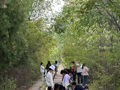 -府君山公园
