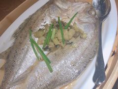 -金牌外婆家(苏州中心店)