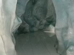 -青藏高原自然博物馆