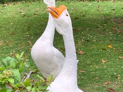 -台州府城(东湖)