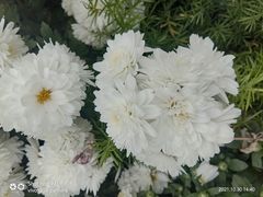 -黄浦路(地铁站)