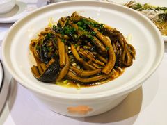 经典淮杨软兜-同庆楼(滨湖万达广场店)