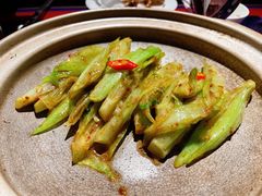 虾酱沙窝生菜梗-上海滩餐厅(BFC外滩金融中心店)