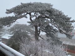 -妙峰山风景名胜区
