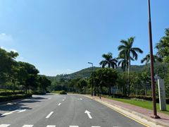 -西涌国际滨海旅游区