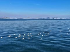 -大连海昌东方水城