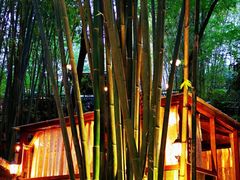 -竹海听涛生态山庄