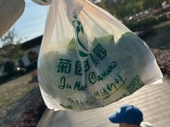 -菊园百果园