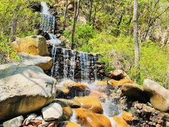 -大连天门山国家森林公园