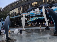-海合安成都极地海洋公园