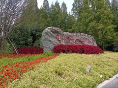 -东平国家森林公园