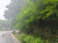 -北山公园