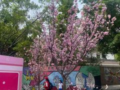 -观澜湖生态运动公社