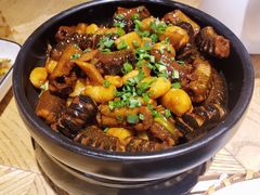 -新梅华(太仓万达店)