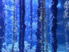 -杭州长乔极地海洋公园
