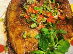 -老滇山寨•云南特色菜•地方菜•民族风情歌舞表演(金碧店)