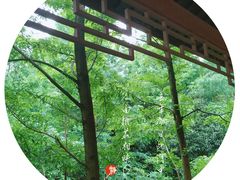-重庆彩云湖湿地公园