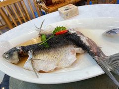 -御膳粥·牛乳粥底火锅·地道顺德菜(容桂店)