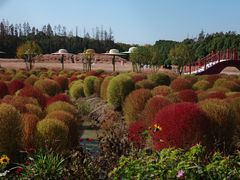 -嘉北郊野公园