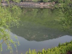 -鲁山国家森林公园