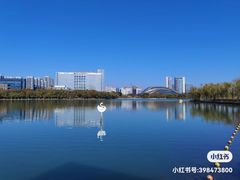 -天鹅湖体育公园