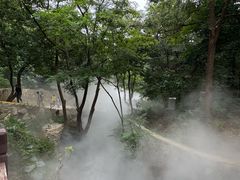 -北京西山国家森林公园