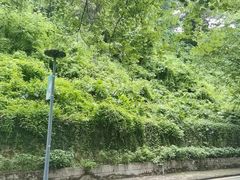 -攀枝花公园