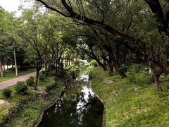 -北坞公园