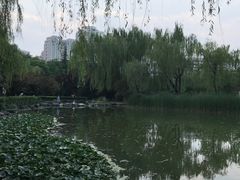 -木塔寺遗址生态公园