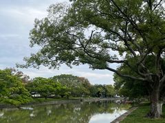 -江心屿景区
