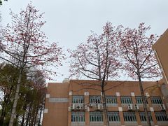 -广州市白云山风景名胜区