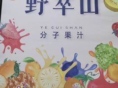 -野萃山·潮汕厚果汁(十亩地店)