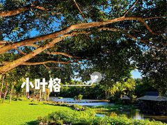 -呀诺达热带雨林