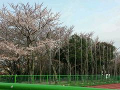 -龙头岩(Dragon Head Rock)