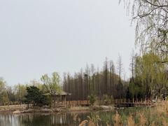 -日照海滨国家森林公园