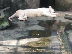 -南昌动物园