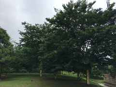 -美丽洲堂